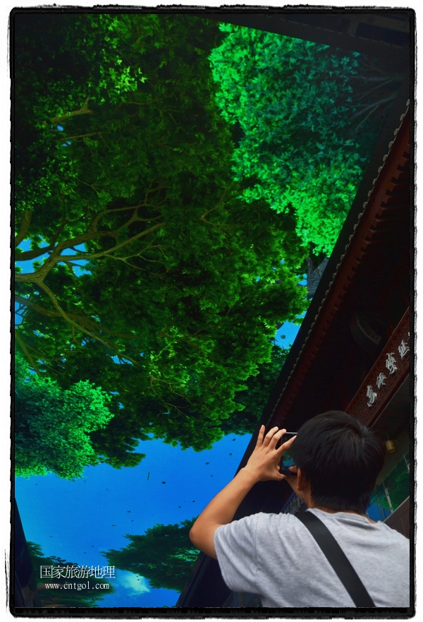 9月8日，在西安市大雁塔景區(qū)，“天幕”景觀吸引游客駐足觀看，并拿出手機(jī)拍攝。